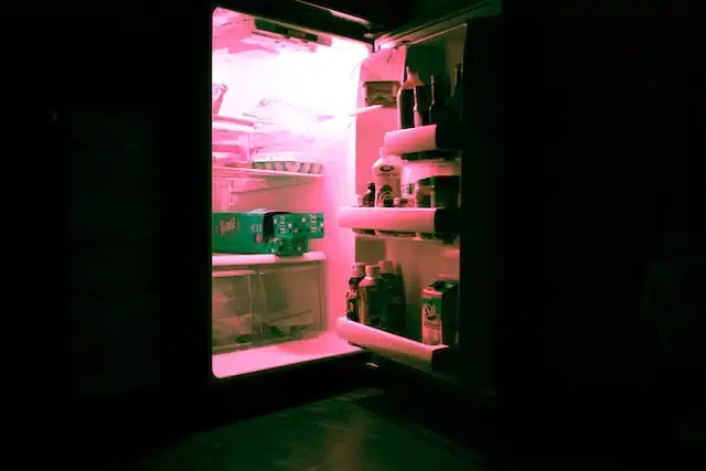 A Quick Guide on How to Refrigerate Food and Keep It Fresh